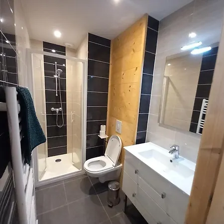 Apartment Cosy Au Pied Des Pistes Avec Parking Prive Laveissiere